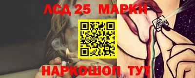 шишки Балашиха