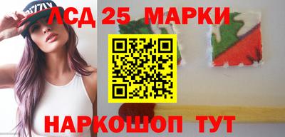 шишки Балашиха