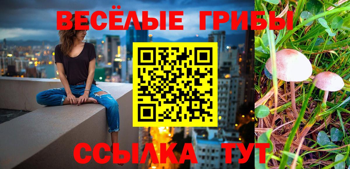 Псилоцибиновые грибы MAGIC MUSHROOMS Долгопрудный